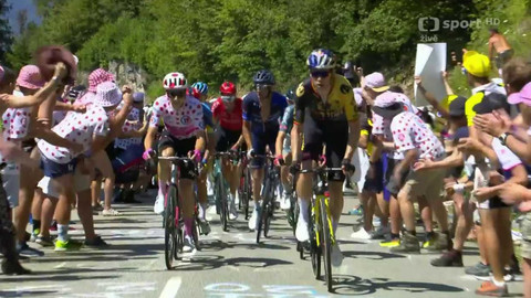 Tour de France - 15. etapa
