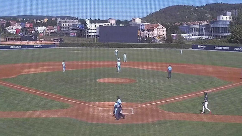 Česká baseballová Extraliga - Cardion Hroši Brno - Eagles Praha