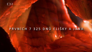 Obrázek pořadu Prvních 7 325 dnů Elišky a Jana