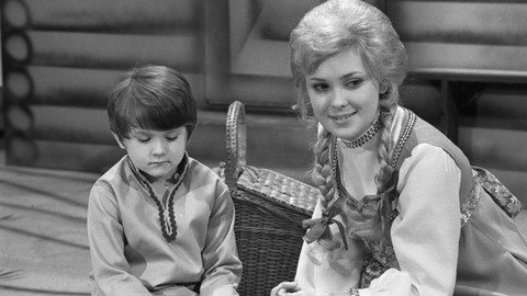 Bylo, nebylo - Divoké labutě