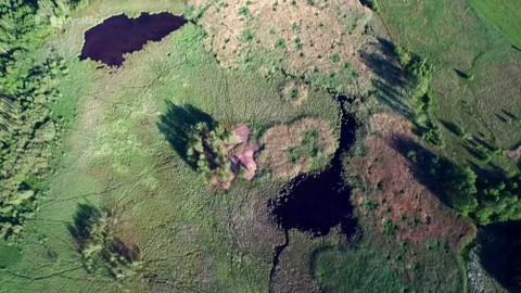 Minuty z přírody - Soos