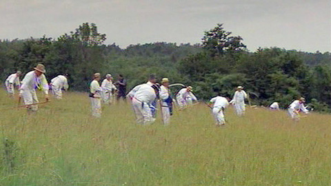 Folklorika - Dobre kosénka pokosuje