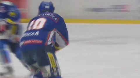 Buly hokej - HC Plzeň 1929 - Bílí Tygři Liberec