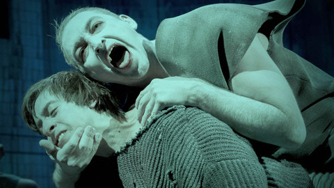 Záznamy představení regionálních divadel - Vojcek