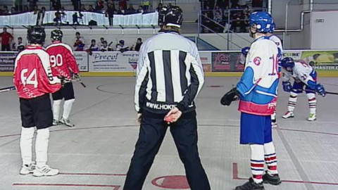 Hokejbal - Česko - Švýcarsko