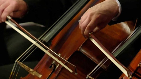 Smetanova Litomyšl - Smetanova Litomyšl 2016 – Sólo pro 100 smyčců