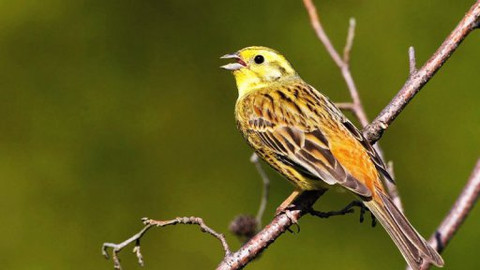 PORT - 27. května 2011