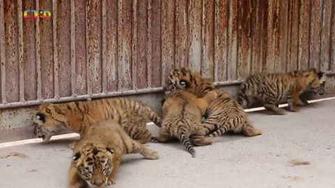 Zprávičky - 24. června 2023