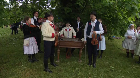 Týden v regionech (Brno) - 1. června 2024