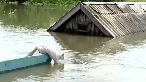 Zóna ČT24 - 11. června 2023