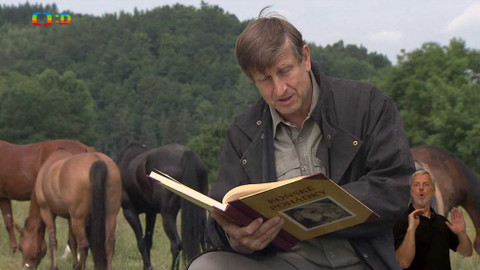 Čtení do ouška - Princ Bajaja