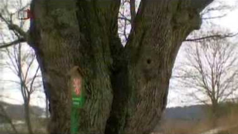 Živé srdce Evropy - Mleč v Horkách