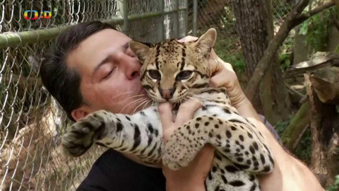 Zprávičky - 4. února 2024