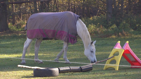 Chcete mě? - 25. listopadu 2018