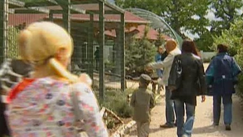 Přidej se - Puštíci