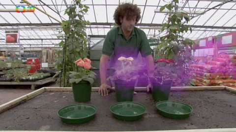 Číslovánky - Epizoda 13/20