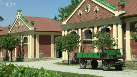 Toulavá kamera - 2. července 2017