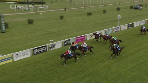 Dostihy - Turf Gala