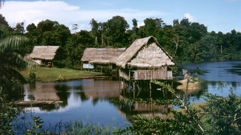 České stopy na březích Amazonky