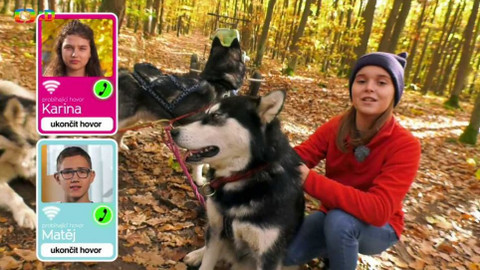 Wifina - 17. listopadu 2017