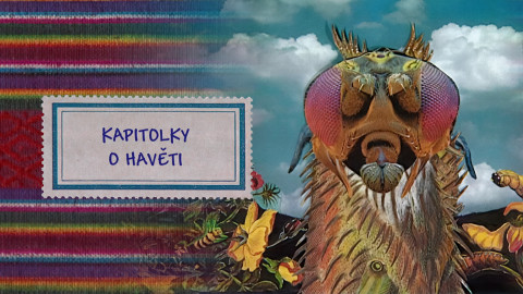 Kapitolky o havěti
