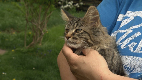 Chcete mě? - 13. května 2018