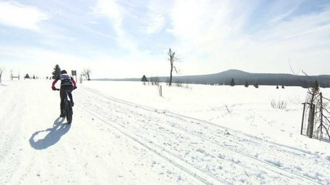Sport v regionech - Karlův běh České spořitelny 2015