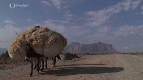 Etiopie - Skalní kláštery v Tigray