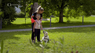 Pomozte dětem - Minipořady