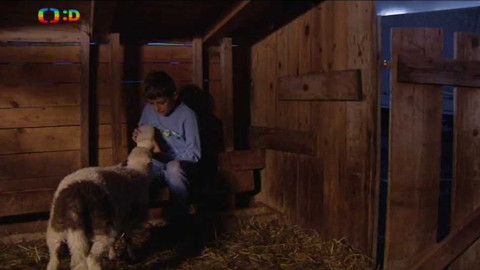 Pojď do toho! - Chlapec z hor