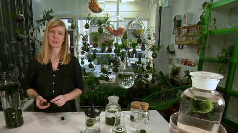 Polopatě - 8. května 2022