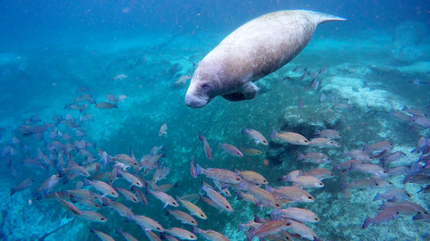 Větrné příběhy - Epizoda 8/10