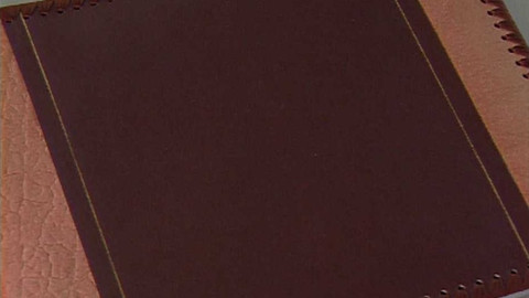 Album - Ljuba Hermanová