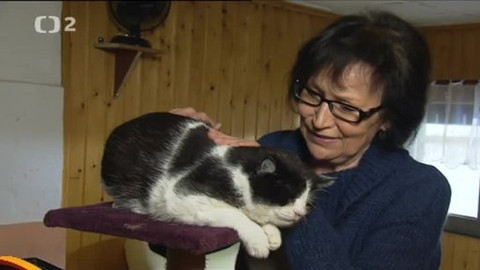 Chcete mě? - Chcete je?