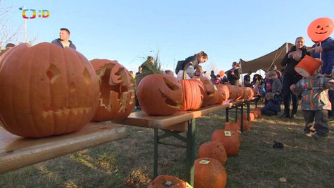 Zprávičky - 5. listopadu 2021