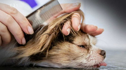 Polopatě - 4. června 2023