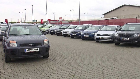 Černé ovce - 6. listopadu 2019