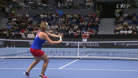 Billie Jean King Cup - Česko - Španělsko