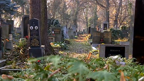 Barvy života - 21. prosince 2012