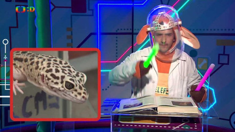 Telefon - 30. září 2016