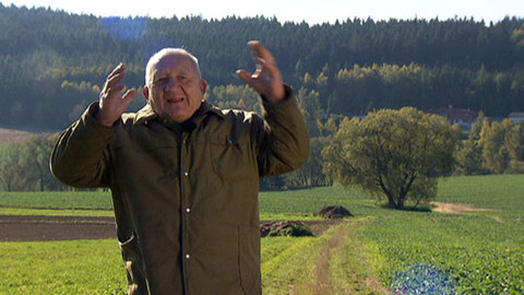 Chcete mě? - 30. října 2011