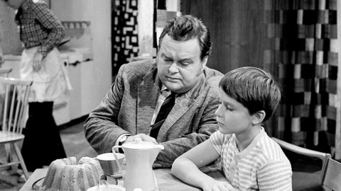 Zdravá vdova 29/169