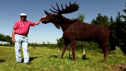 Nedej se! - Velké losování