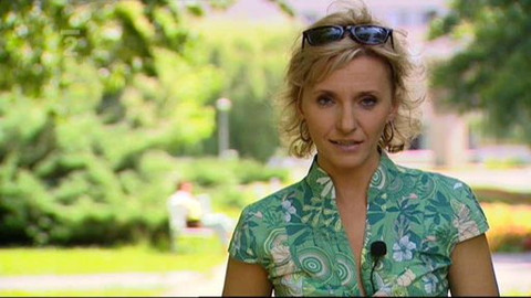 Hledám práci - 5. srpna 2009