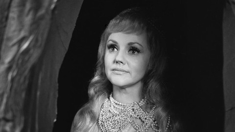 Norské pohádky - O divoké kachně