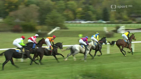 Dostihy - Velká slušovická steeplechase