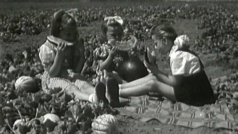 Archiv ČT24 - Ovoce a zelenina