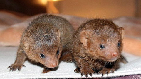 Máte mě! - 29. dubna 2012