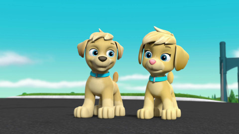 Tlapková patrola - Mocné tlapky Supertlapky: Tlapky zachraňují mocná dvojčata