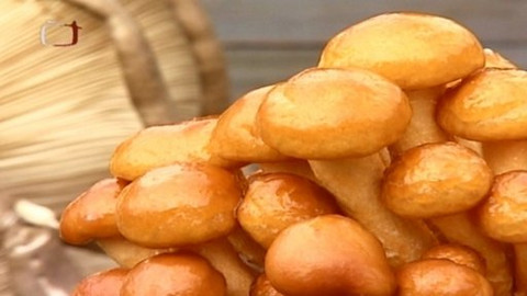 Zahrada je hra - 8. května 2008